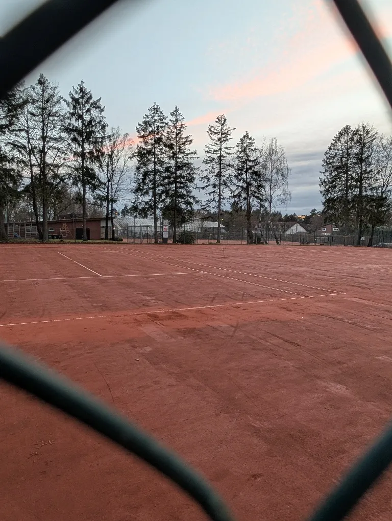 Blick durch den Maschendrahtzaun auf die Sandplätze, dahinter hohe Kiefern im Abendlicht.